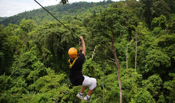 Cambodia Gibbon Spotting